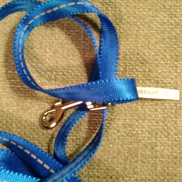 Final price!*Unused dog lot(S) - Picture 4 of 5